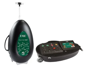 img-vet-3-optimized
